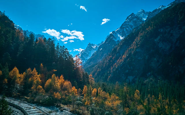 青睐绵阳 ‖ 红透了！周末去平武，沿着“百里彩林走廊”看一场雪山彩林“大片”~
