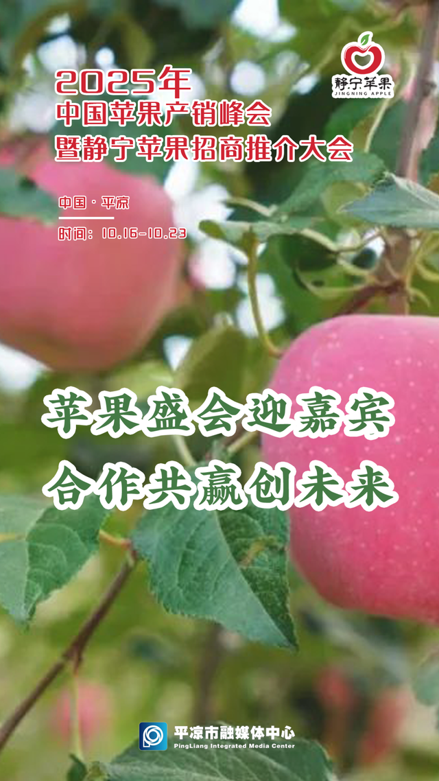 文旅深融，体验升级！平凉多元业态点亮国庆假期