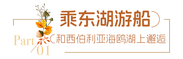 送票｜12月来东湖这样玩，嗨翻了！