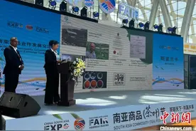 南亚东南亚名茶飘香南博会 各国冀携手开拓世界茶叶市场图片
