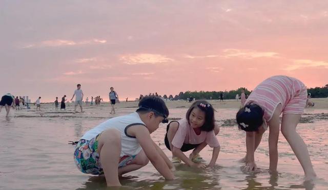 南海新区：夏夜清凉好去处 赶海烧烤舞不停