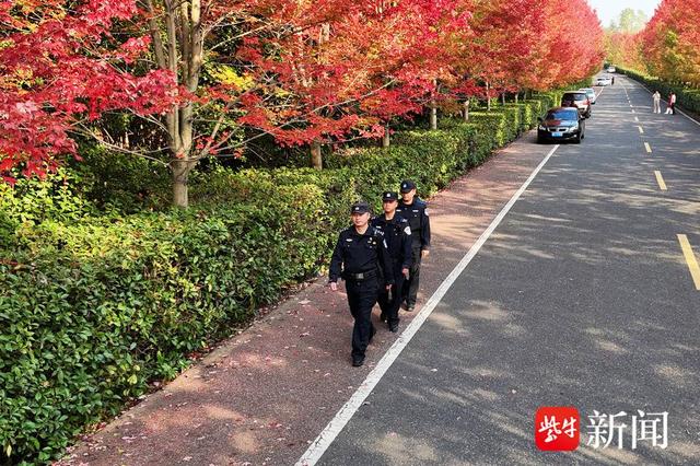 枫叶红了，“新四军第一所”守护南京竹镇红枫大道平安季