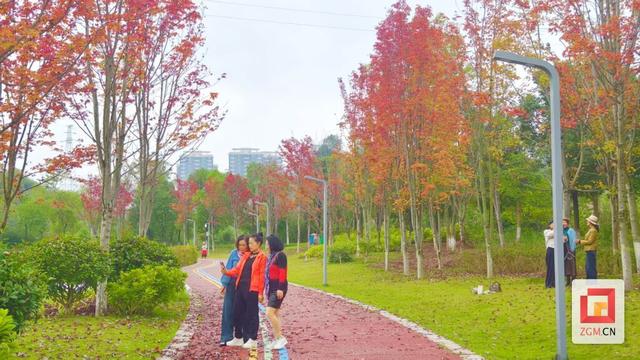 冬之伊始 宜家河滨河公园风景如画