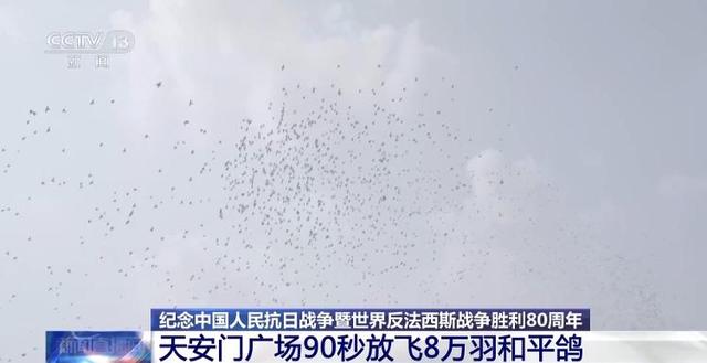 90秒放飞8万羽和平鸽 支持浪漫一幕的是背后的“硬核科技”