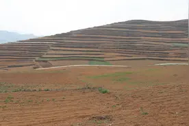 玉米亩产平均提升300斤 康志乾的机械化种植故事图片