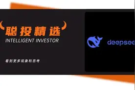 “鲶鱼”梁文锋：左手幻方量化，右手DeepSeek图片