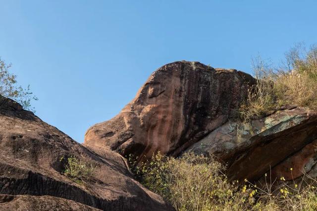 大自然的表情包！永兴风光里的“动物世界”