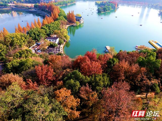 长沙人的周末：去烈士公园赴一场秋冬之约