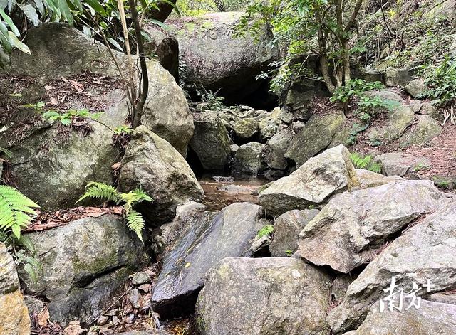 夏日避暑上庄山｜茂名滨海漫游图鉴
