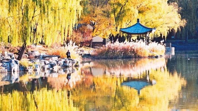不必扎堆地坛公园！东城区赏秋攻略，一图收藏