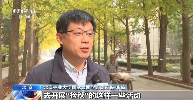 赏秋时节 “捡秋”有度才能留住秋日好时光