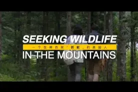 凯文：一个来神农架“抓蛇”的美国人图片