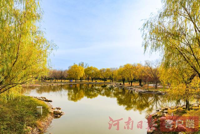 印象港区｜满目金黄，是秋写给冬的告白