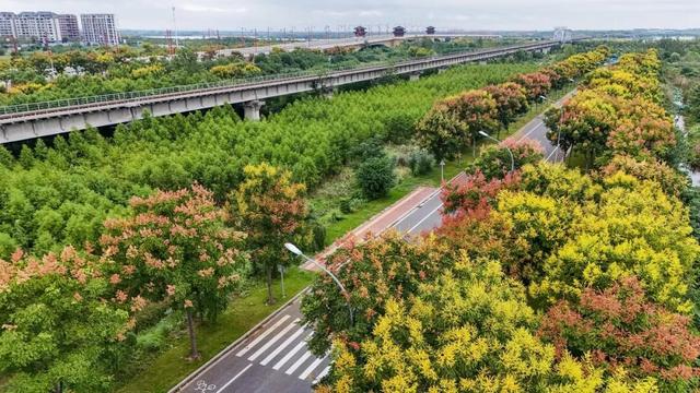 荆州的秋，才是隐藏BOSS！🥰🥰🥰