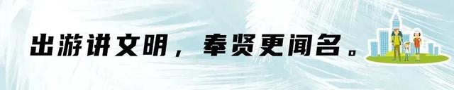 域见上海·域见奉贤|降温后的奉贤好去处!藏在身边的书房,暖身又暖心(上)