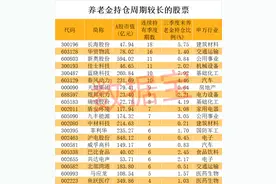 养老金长期看好股竟是它！加仓迹象明显，滞涨股揭晓，5只具备国资背景图片