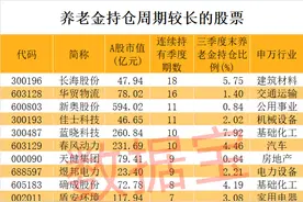 养老金长期看好股竟是它！加仓迹象明显，滞涨股揭晓，5只具备国资背景图片