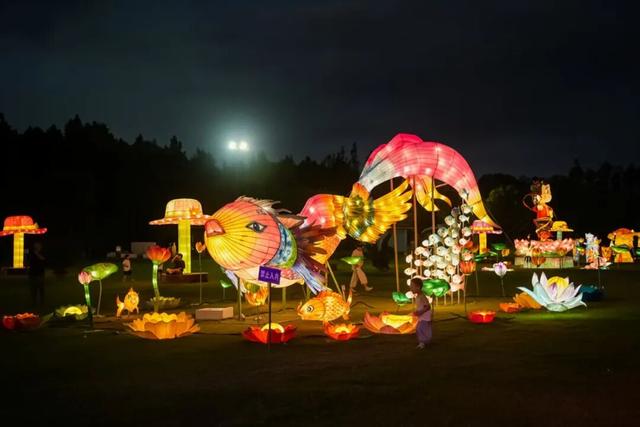 长兴岛郊野公园开启限定夜游季！