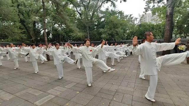紫竹院双站联谊48式太极传新篇，门惠丰亲临指导以礼相待