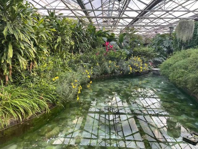 超适合冬日遛娃，北京室内“热带雨林”攻略请收好