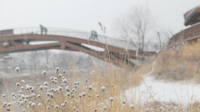 清河之洲，在河之洲看雪景！