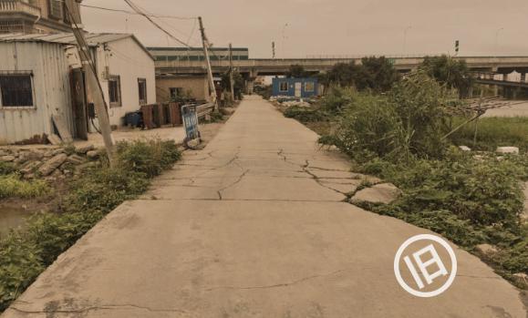 小斗湖鳘鱼胶效果 2026年斗湖鱼胶的功效与作用