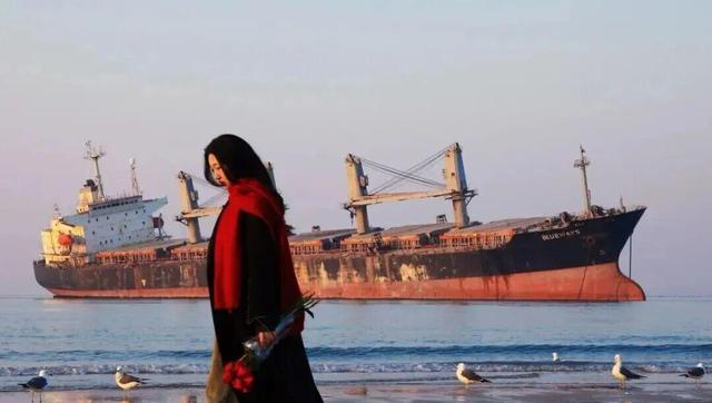 冬天！所有人都该来荣成见一见“永不失约”的布鲁威斯