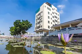 废弃池塘“变身”靓丽景观！广州白云人和镇清河村5个池塘完成升级图片