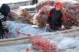 2024天津首网皮皮虾要来了图片