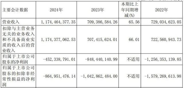 谁够资格扛起“中国英伟达”大旗？
