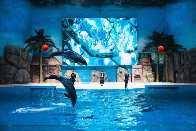 “知音湖北 楚韵荆州”金秋先锋歌会来袭，门票解锁景区免费游福利