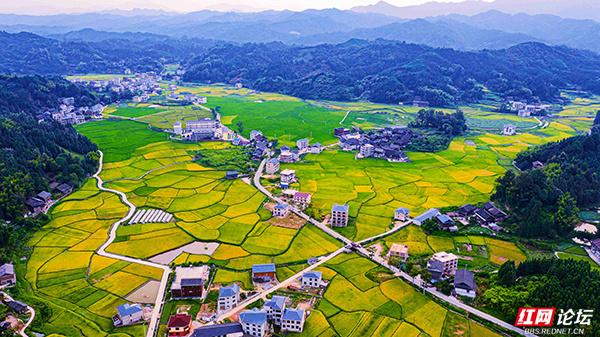 湖南通道侗寨：金秋“丰”景，藏在山水间的诗意画卷