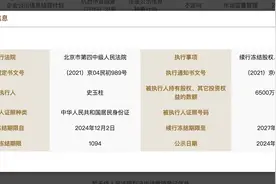 6500万元股权被再次冻结，史玉柱此前已因“人情债”被执行超亿元图片