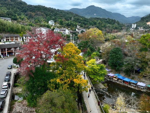 福州九峰村冬景迷人