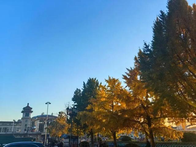 秋意正浓，邂逅浪漫！快来打卡“七站两场”地区的限定秋色