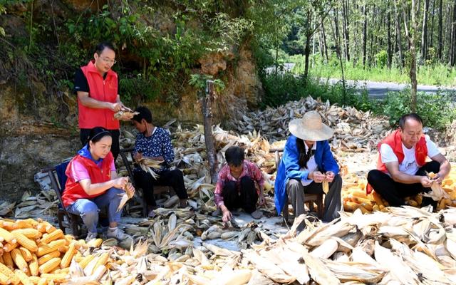 湖北郧阳：青山村的“云端突围”