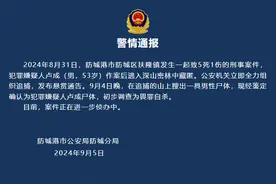 广西防城港警方：致5死1伤命案嫌犯已畏罪自杀图片