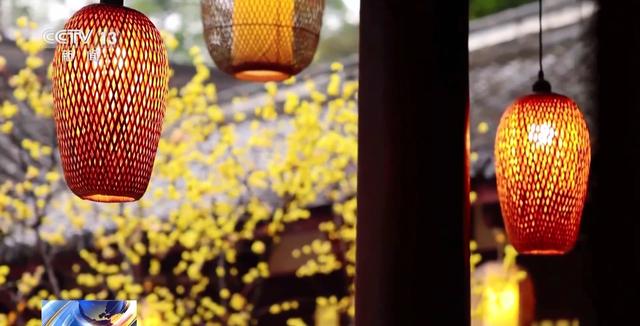 嗅梅香、赏梅韵 “梅”好时光激活周末经济