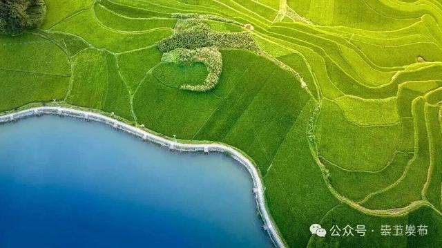 毕节不止有“悬崖村”，这些田园风光更美！