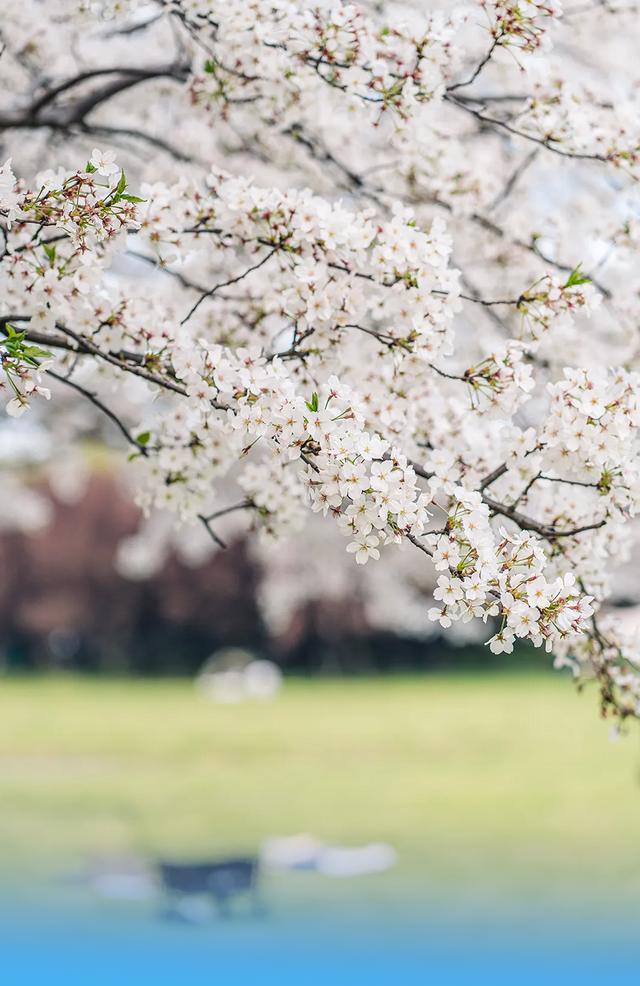 本周末，来这里逛吃逛喝（文末有福利）