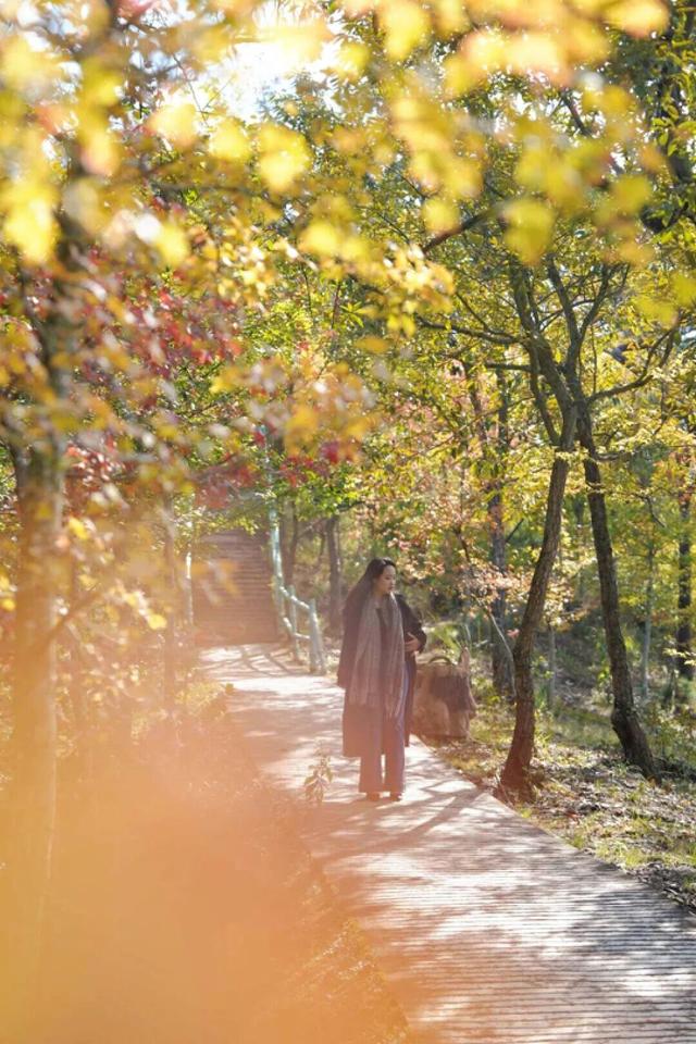 15元/人，安宁至青龙峡景区实惠专线开通