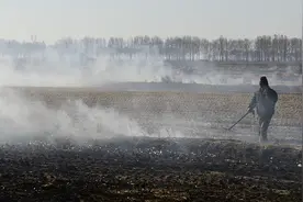 马上评｜秸秆焚烧，禁还是烧？得听科学的图片