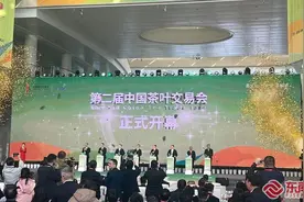 大咖云集、品类丰盛、多地参展……第二届茶交会亮点多多图片