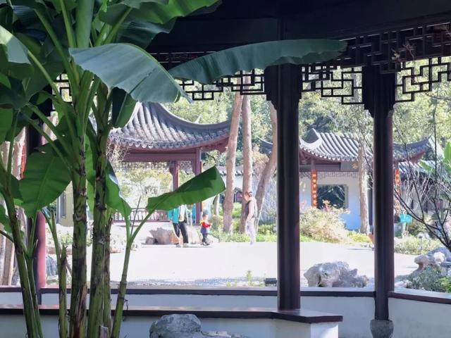 在雨山邂逅暗香苑，寻见一方藏在城市角落的桃花源