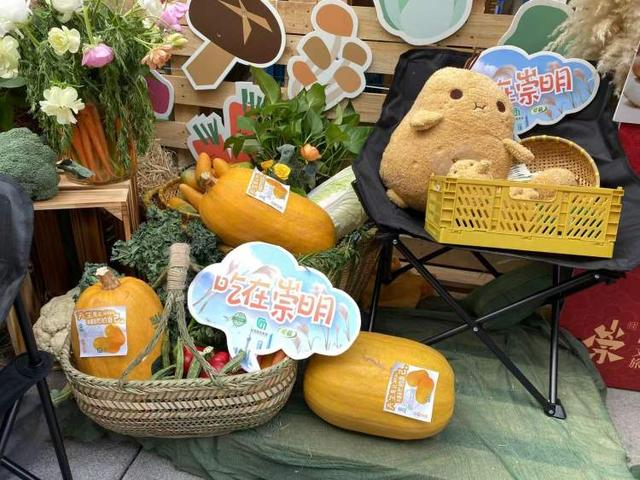 速去浦东前滩，崇明好吃好玩好买的都来啦！文旅嘉年华限时2天，有众多福利和优惠