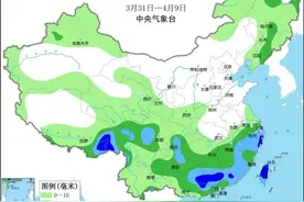 清明假期出行，看这一条就够了→图片