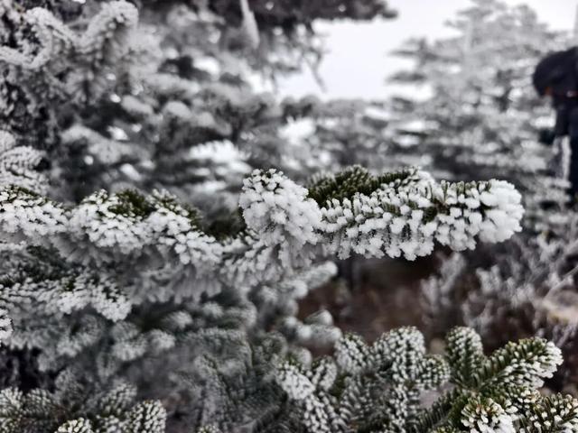 原来泸定不止泸定桥！4天深度游挖到宝了