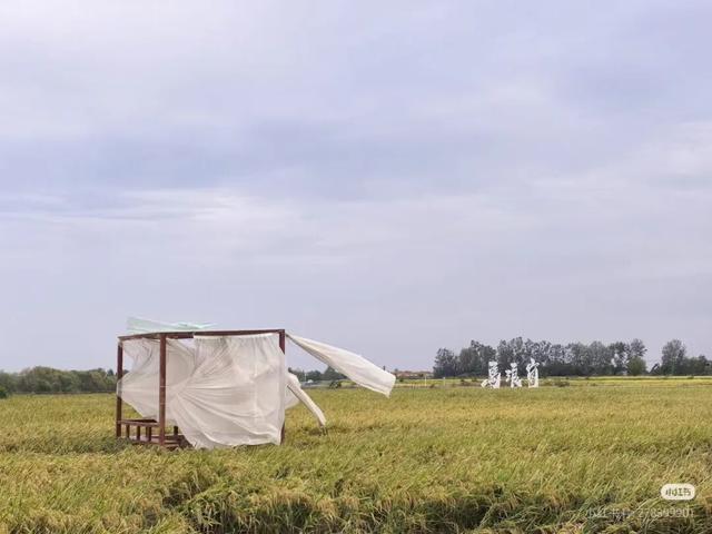 立冬第一游去哪里？淮安5处目的地，这个时节美翻了！