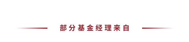 2025纽约之行见闻随笔