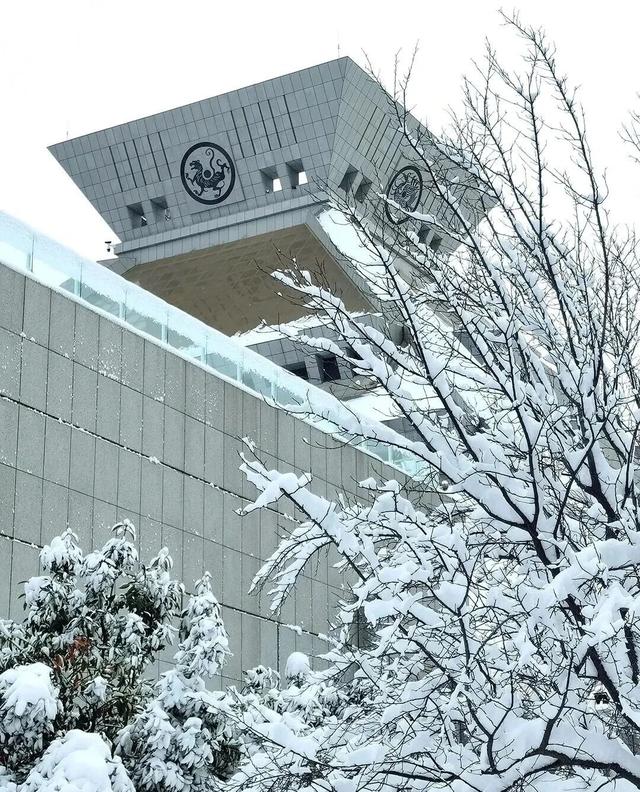 一场雪，让河南四大古都诗里模样！